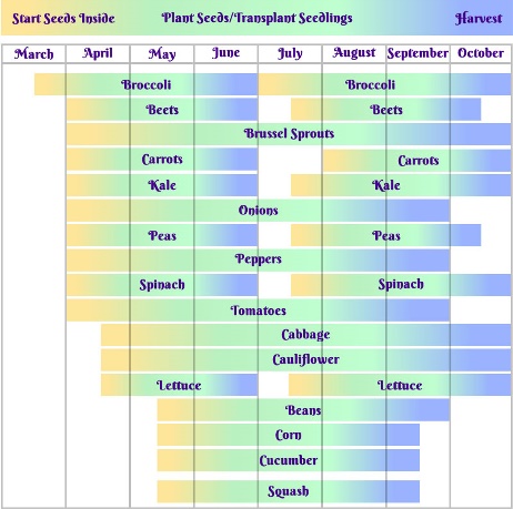 Planting Schedule