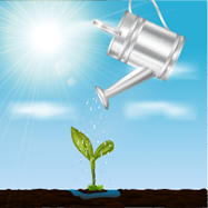 Watering Can